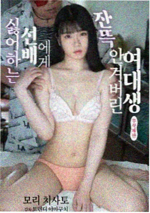 金刚经第五品如理实见分原文